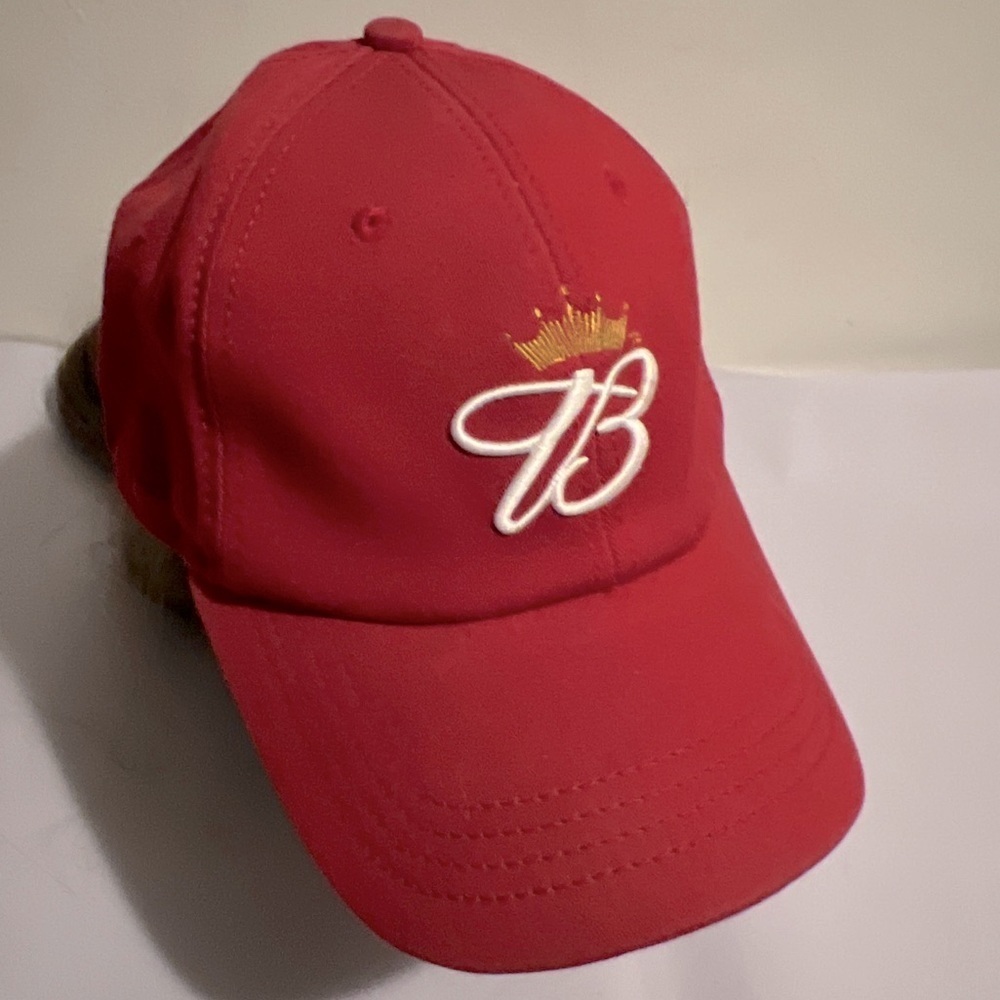 VTG Dale Earnhardt Jr Chase Authentics NASCAR Fitted A Flex Hat Budweiser Bud